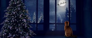 Christmas Mini Session